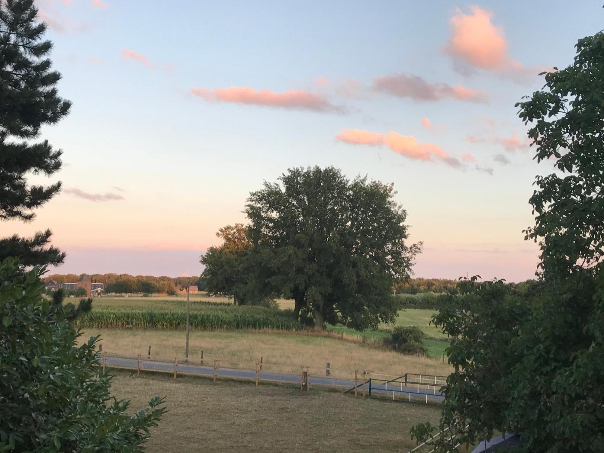 Ks Kotten Bed And Breakfast Rees Bagian luar foto
