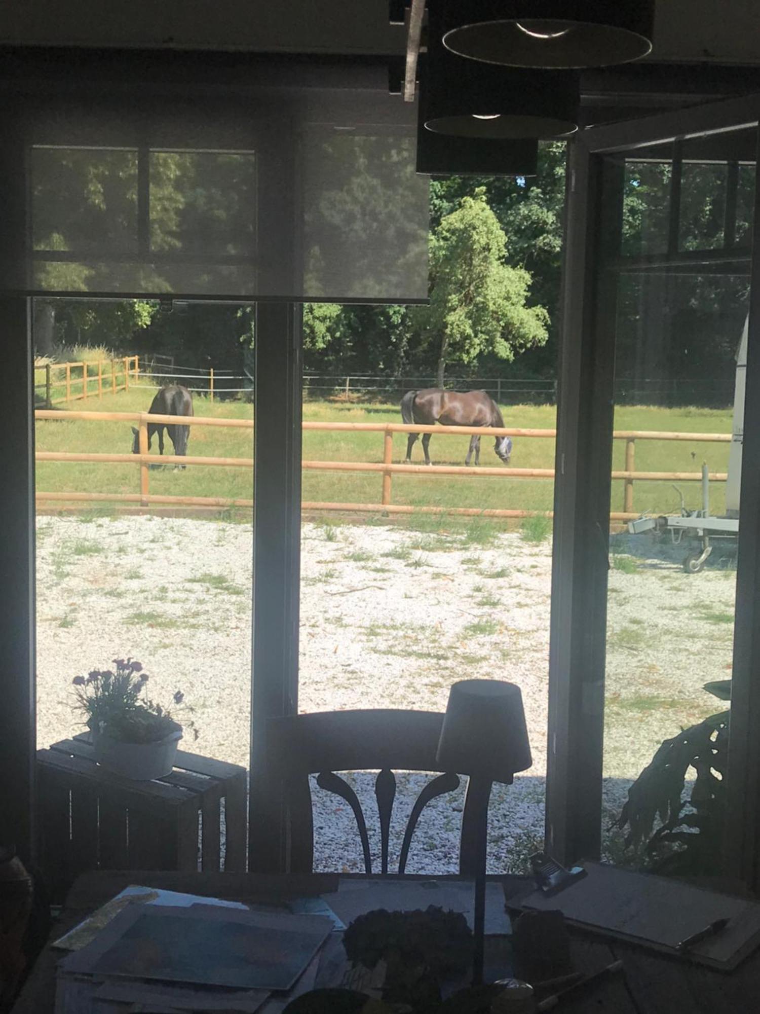 Ks Kotten Bed And Breakfast Rees Bagian luar foto