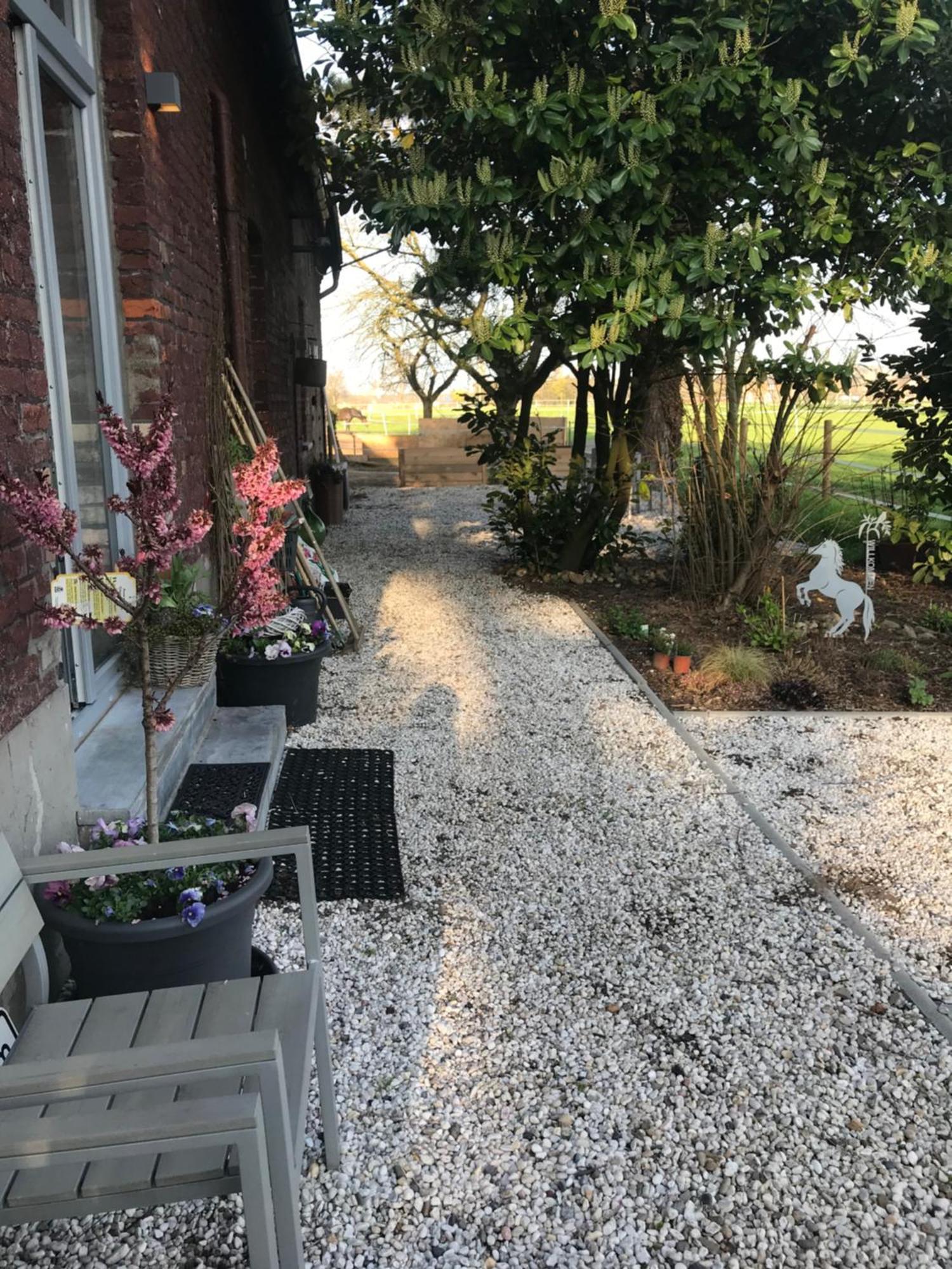 Ks Kotten Bed And Breakfast Rees Bagian luar foto